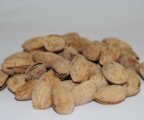 Salted Almonds in shell