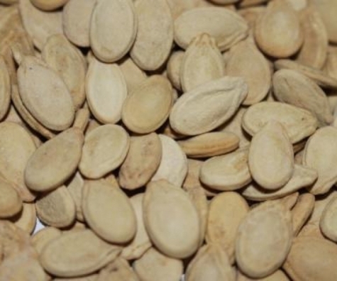 Super Egyptian seeds